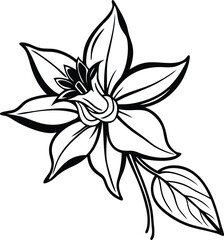 Black and White Line Art Illustration Blooming Flower with Petals and Single Leaf
