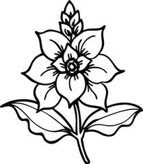 Black and White Line Drawing of Elegant Flower Blossom with Stem and Leaves