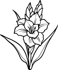 Elegant Gladiolus Flower Line Art Illustration With Unopened Buds and Pointed Leaves