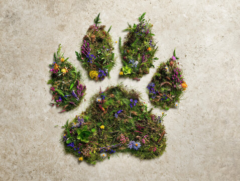 a large paw print shape made from natural elements such as soil, moss, grass, wildflowers, and leaves, arranged on a flat beige textured background - Powered by Adobe