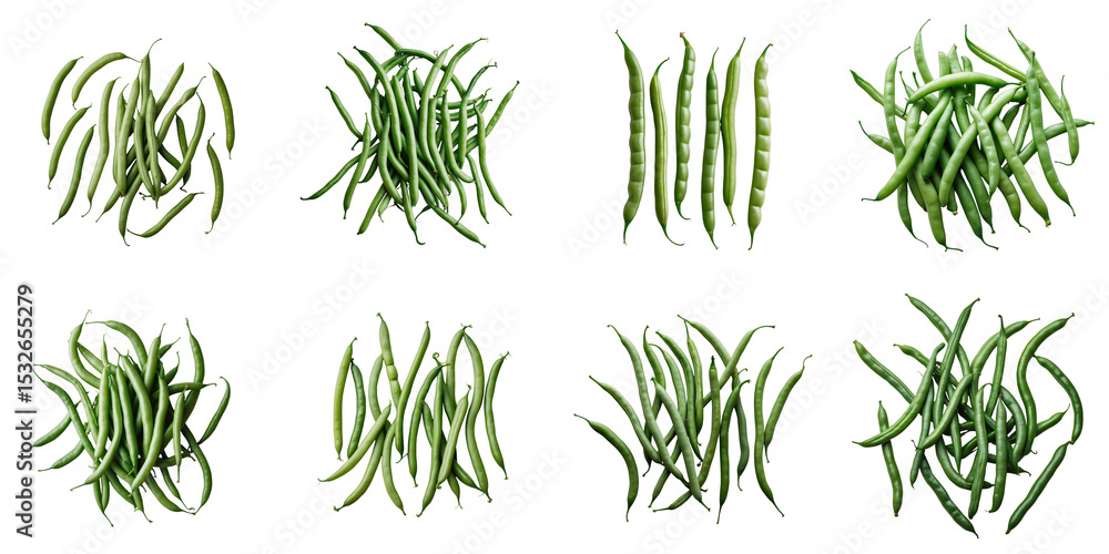 Poster assorted green bean varieties arranged in a grid on a transparent background featuring different sha