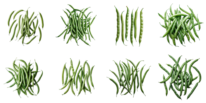 Assorted green bean varieties arranged in a grid on a transparent background featuring different shapes and arrangements showcasing their fresh color and texture