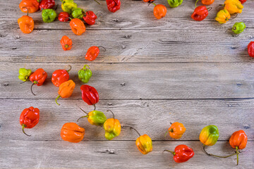 Fresh habanero peppers in various colors are scattered on weathered wooden table, showcasing their...