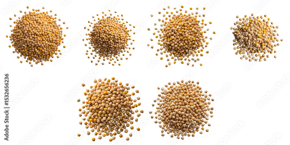 Poster variety of dried yellow split chickpeas and lentils arranged in circular piles isolated on a transpa