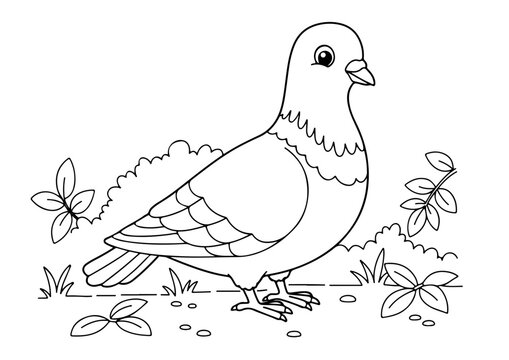 ird pigeon cartoon outline line art coloring page for adult childern kids, vector illustration, white background