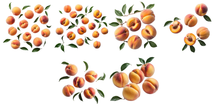 Assorted ripe peaches with green leaves arranged artistically on a transparent background showcasing their natural texture and color variations.