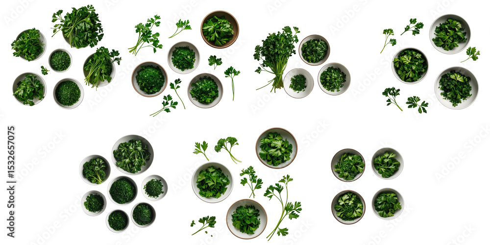 Poster assorted bowls filled with cut parsley and fresh sprigs arranged on a dark background displaying var