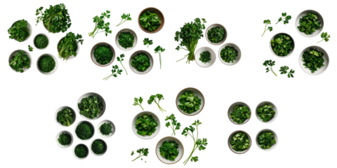Assorted bowls filled with cut parsley and fresh sprigs arranged on a dark background displaying various types and cuts of parsley in multiple bowls.
