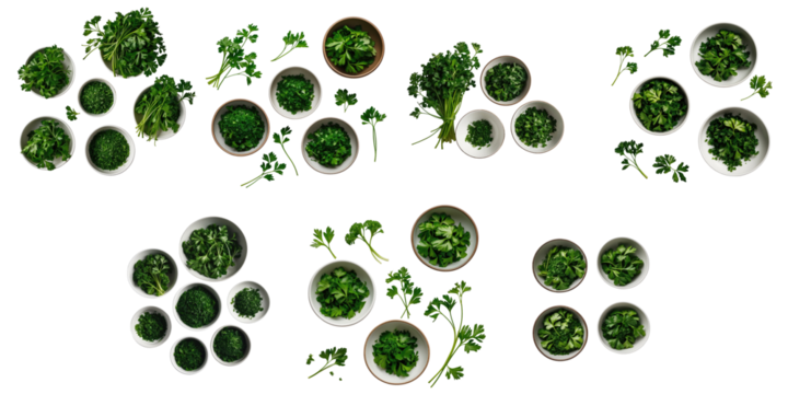 Assorted bowls filled with cut parsley and fresh sprigs arranged on a dark background displaying various types and cuts of parsley in multiple bowls.