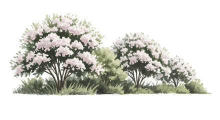Lush Spring Blossoms Detailed Illustration of Flowering Shrubs and Greenery