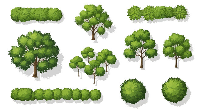 Top View Collection of Lush Green Trees and Bushes for Landscape Design