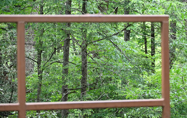 Trees through Steel Frame