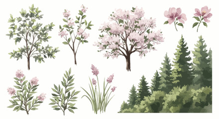 Collection of Watercolor Illustrations Trees, Flowers, and Plants