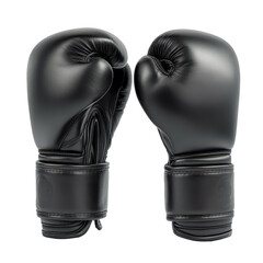 MMA Gloves, MMA fighters in professional boxing ring, isolated on transparent background