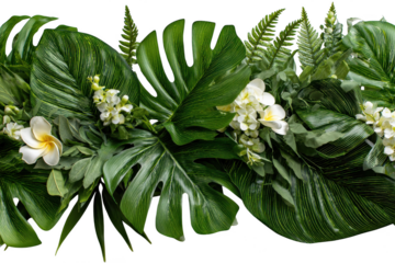 Tropical foliage with monstera and philodendron leaves on white background