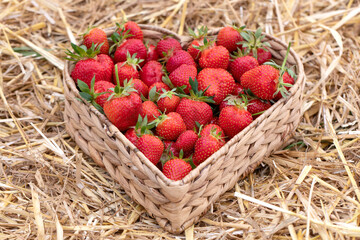 Erdbeeren in Herzform im Korb und Stroh.