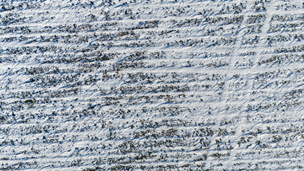 Drone view over a snow covered agriculture field with cultivated rows from crops.