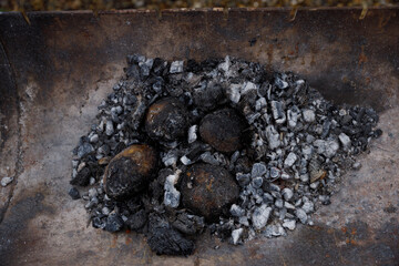 A Close-Up of Charred Remnants in a Metal Shovel Filled with Ashes, Blackened Shells, and Gray Residue from a Recent Fire or Cooking Process, Capturing a Moment of Transformation