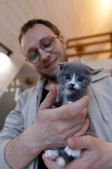 A Joyful Moment: Adorable Gray Kitten Being Held by a Smiling Person, Capturing the Essence of Pet Love in a Cozy Indoor Environment