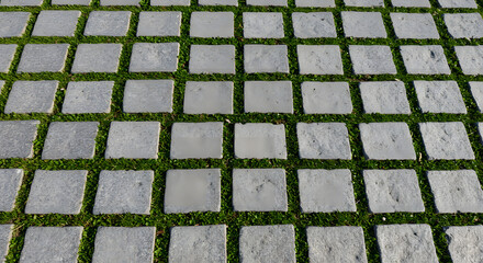 Textured Cobblestone Path with Grass Growing Between Blocks