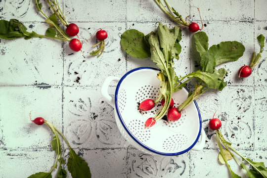 fresh radishes on tiled table and in white colander with leaves