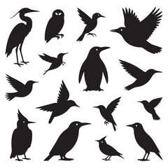 Elegant Bird Silhouettes Collection: Penguin, Heron, Owl, Hummingbird, and More Avian Designs