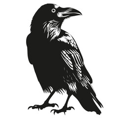 Black raven/crow silhouette illustration with detailed feathers, isolated on white.