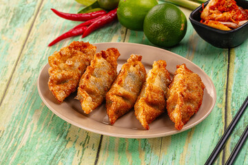 Asian fried stuffed dumplings gyoza
