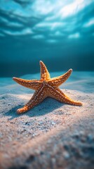 A starfish lying on the sandy ocean floor