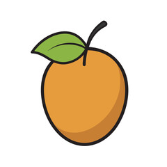 Sapodilla Fruit With Vector Outline Art