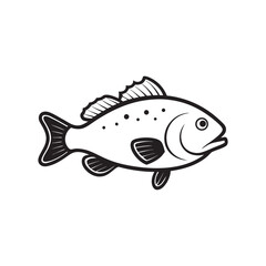 Grouper With Vector Outline Graphic
