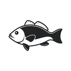 Grouper With Vector Outline Illustration