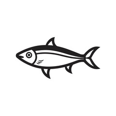 Anchovy Fish With Vector Outline Illustration