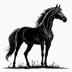 horse vector illustration