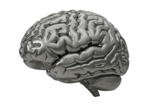 Isolated Metallic Brain Model Anatomical Intelligence Concept
