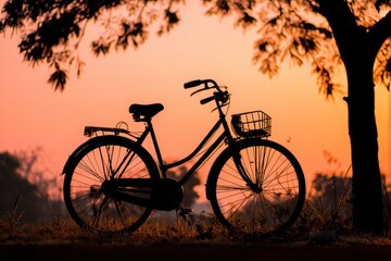 Obraz premium Silhouette of a bicycle with a basket silhouetted under a tree at sunset