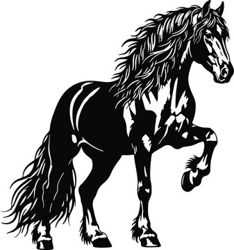 Black Friesian Horse Stallion Powerful Pose Graphic Art Ink Drawing white