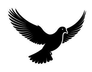 Fototapeta premium Black silhouette of a soaring dove