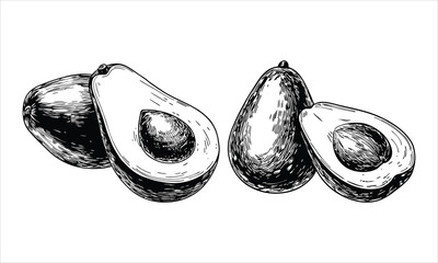 Avocado fruits isolated on white background in black and white sketch © Pixel Art