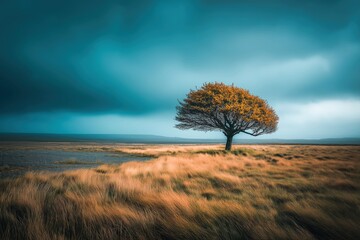 Dramatic Landscape of a Lone Tree Against a Stormy Sky in a Golden Field