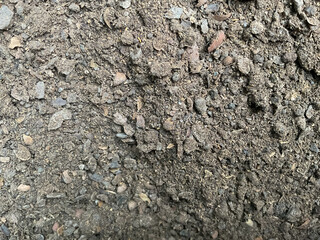 Neem khali, also known as neem cake, is a natural organic fertilizer and soil conditioner derived from the residue of neem seeds after oil extraction.