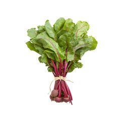 Fresh Bunch of Beets with Green Tops, Tied with Twine