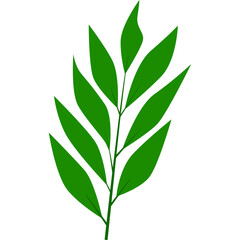 Fototapeta premium Green Leaves Vector