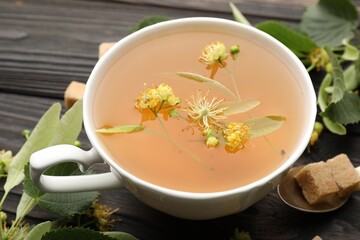 Fresh linden tea in cup, sugar cubes and flowers on dark wooden table, closeup