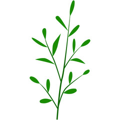 Green Leaves Vector