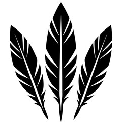 Obraz premium Tribal feathers 