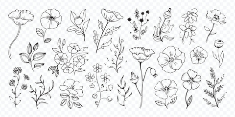 Hand Drawn Floral Line Art Vector Icons Set