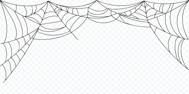 Spider Web Decoration Vector