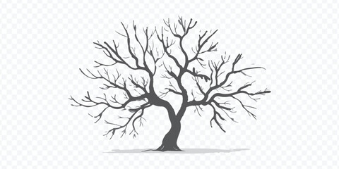 Fototapeta premium Bare Tree Silhouette Nature Element Vector