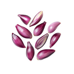 Red Shallot Bulbs, Freshly Harvested, Isolated on Black Background